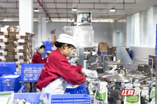 财经v视丨火热的一线 透明工厂,让美味触手可及