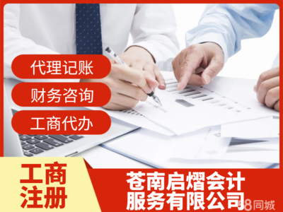 苍南工商注册与财务咨询服务全攻略