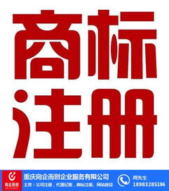 渝中代理记账 向企而创，在线咨询助力企业财务无忧